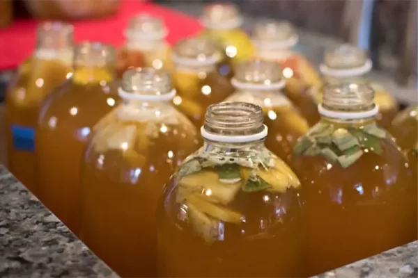 کامبوجا